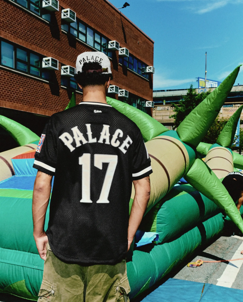 Back view of PALACE mesh baseball jersey number 17 from Ebbets Field Flannels collaboration